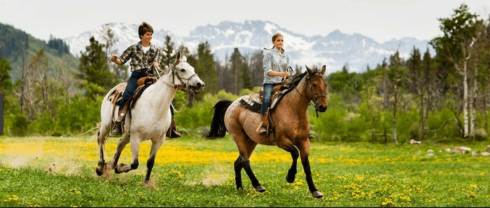 Confident plus-size woman riding Bournemouth a horse through a field with a smile on her face.